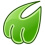 Midori