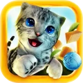 Cat Simulator Download