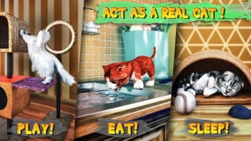 Cat Simulator Image 4