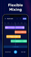 Audio Editor &amp; Music Editor Image 1