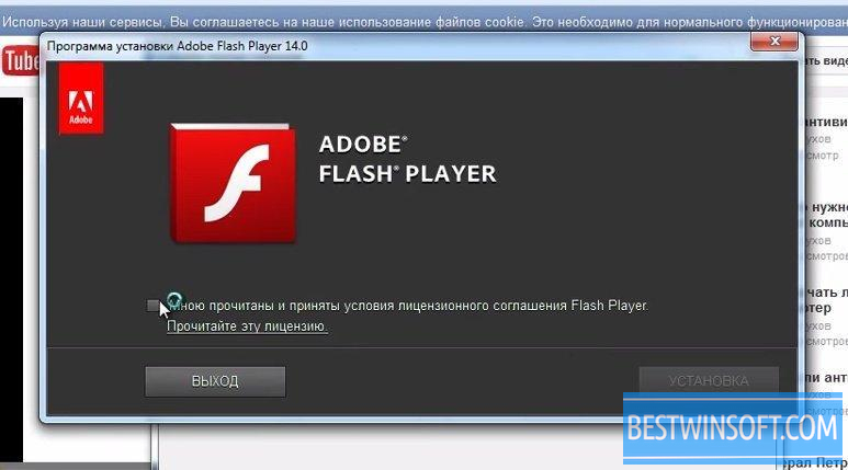 web browser with flash player built in