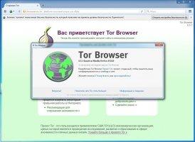Tor Browser Image 2