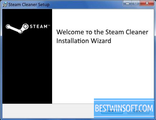 steam client cleaner